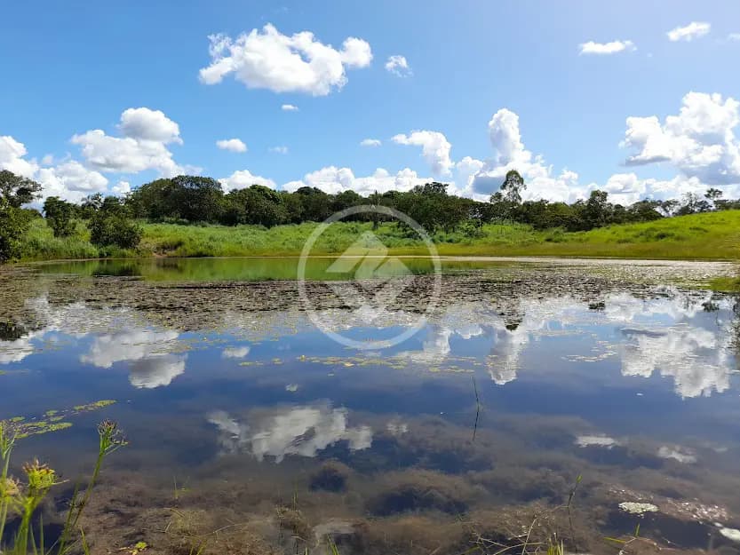 Fazenda JARDIM MARIA IZABEL, Várzea Grande - MT — foto 2