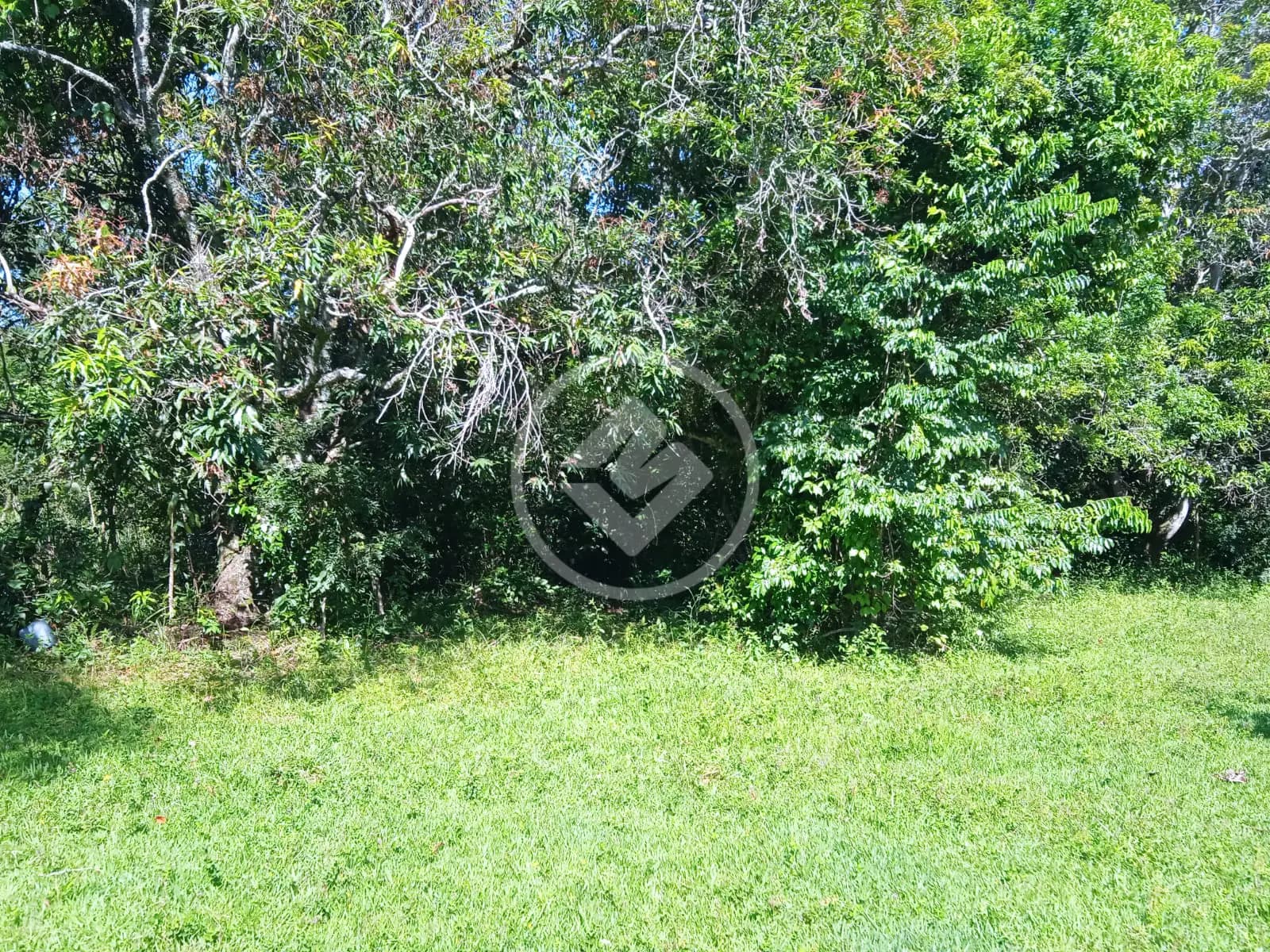 Terreno no Estância Vargem Bonita, Senador Canedo — foto 4 de 6