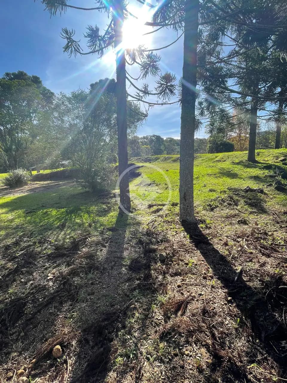 Terreno Condomínio no Seminário, Chapecó — foto 4 de 4