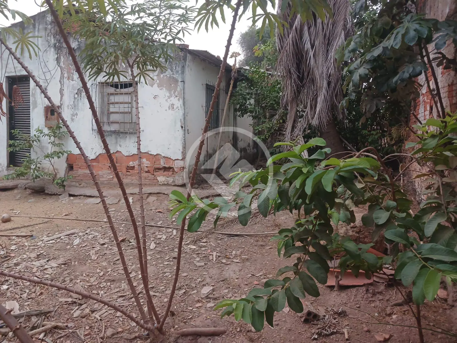 Terreno no Araés, Cuiabá — foto 3 de 6