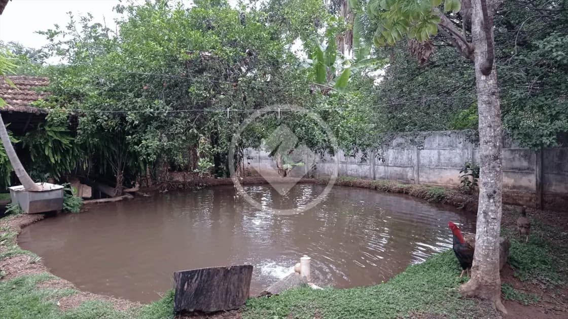 Chácara Setor Central, Hidrolândia - GO — foto 2