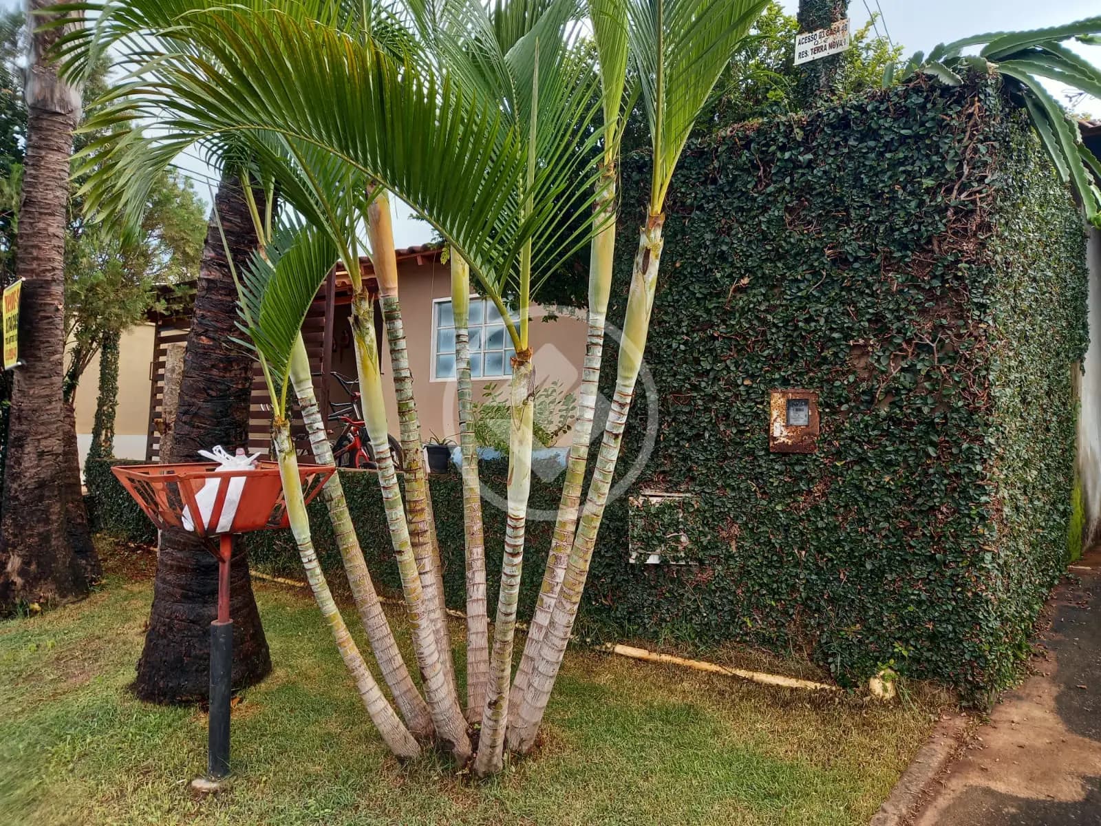 Casa Condomínio Fazenda São Domingos - Conjunto Residencial Terra Nova, Goiânia - GO — foto 1