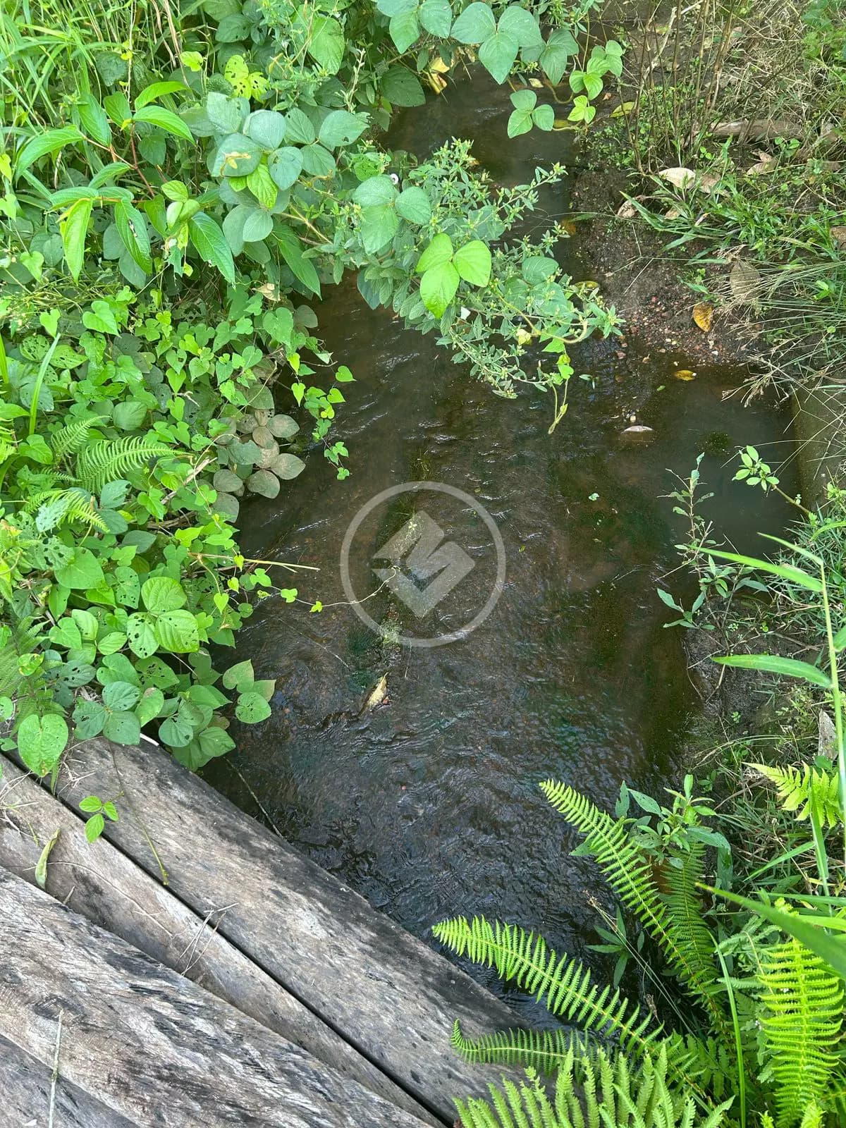 Chácara no Zona Rural Hidrolandia, Hidrolândia — foto 3 de 6