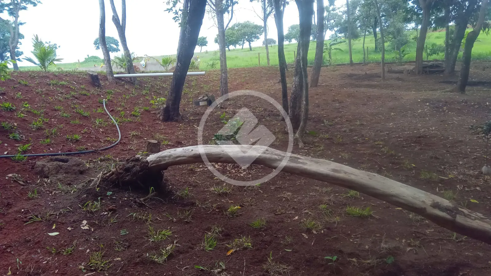 Fazenda no Chácara em Hidrolândia, Hidrolândia — foto 3 de 6