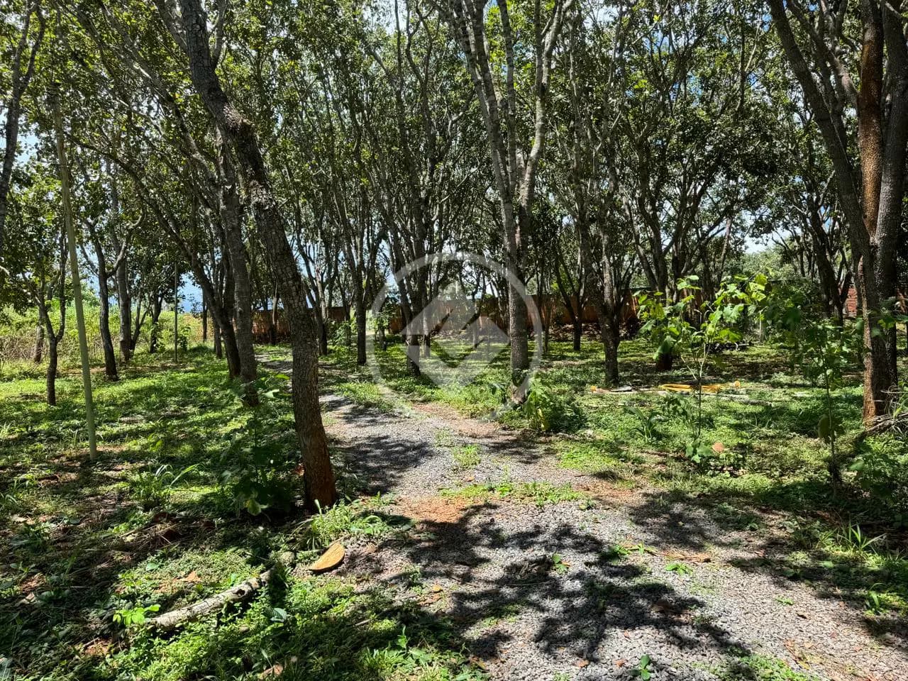 Terreno no Residencial Santa Efigênia, Goiânia — foto 5 de 6