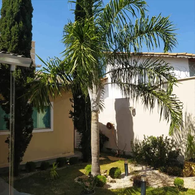 Sobrado 4 quartos no Residencial Flamingo, Goiânia — foto 4 de 6