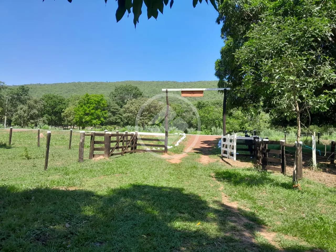 Fazenda Olhos D Agua, Cáceres - MT — foto 2