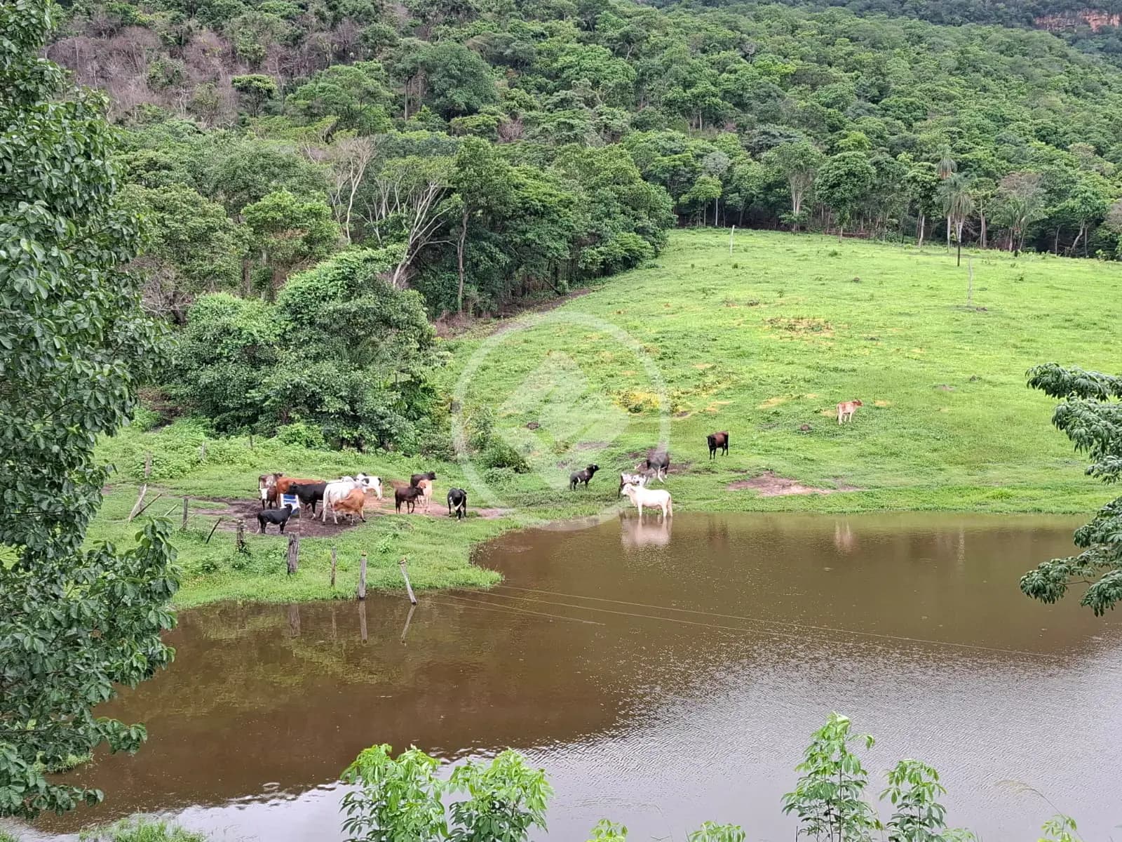 Fazenda ZONA RURAL, Cáceres - MT — foto 1