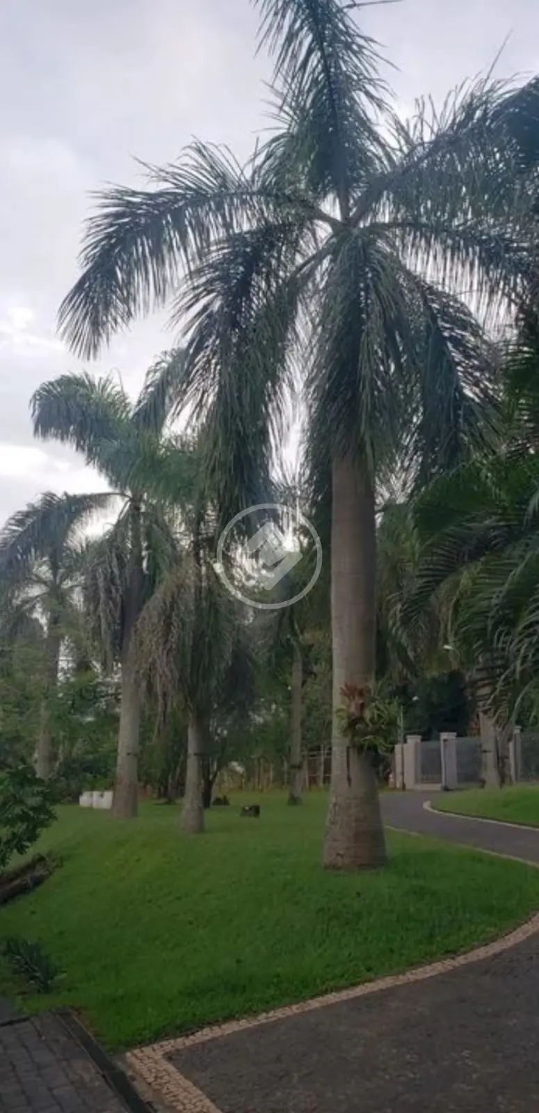 Chácara no Morada do Sol, Uberlândia — foto 5 de 6