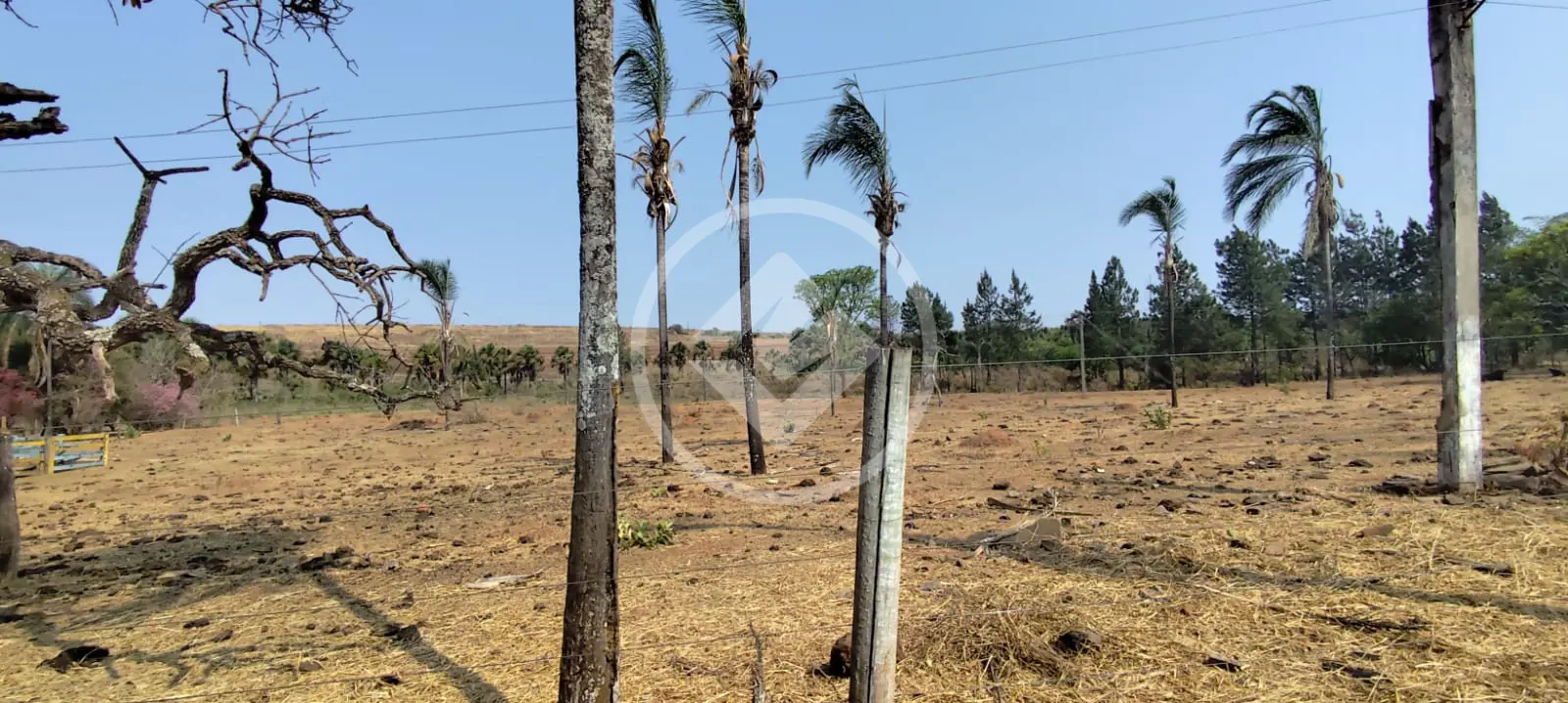 Chácara Área Rural de Uberlândia, Uberlândia - MG — foto 2