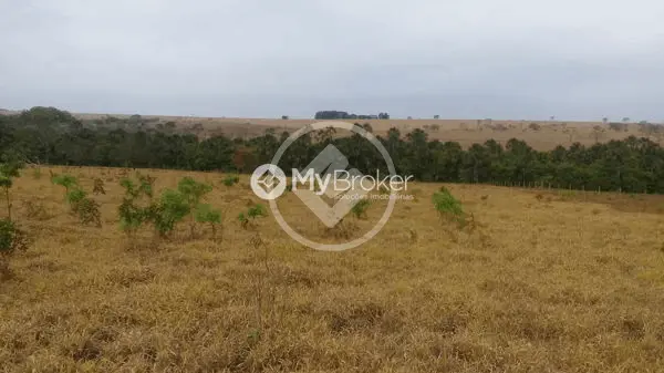 Sítio Zona Rural, Monte Alegre de Minas - MG — foto 1