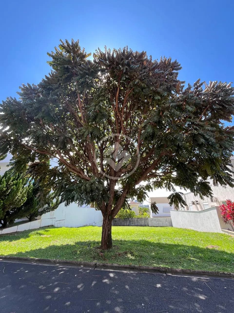 Terreno - 409m² - Nova Uberlândia - Uberlândia/MG