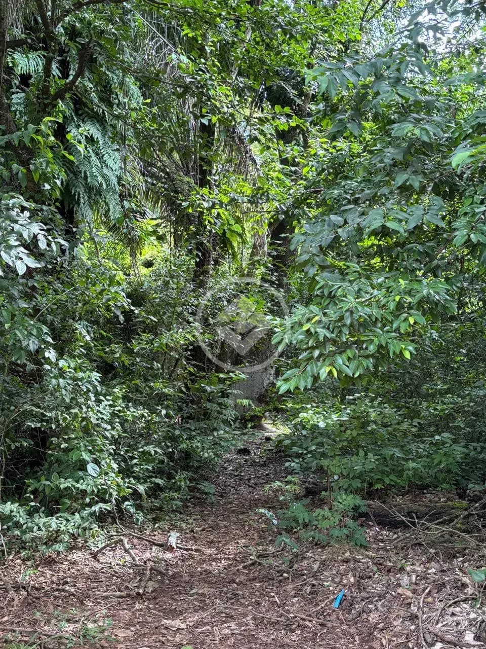 Terreno Condomínio no Sítio de Recreio Ipê, Goiânia — foto 5 de 6