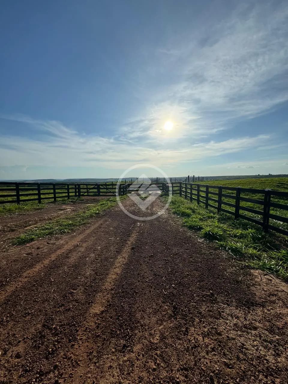 Fazenda ZONA RURAL, Campo Alegre de Goiás - GO — foto 2