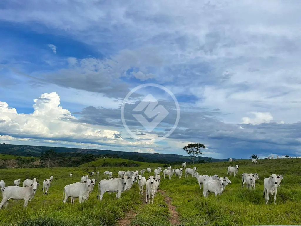 Fazenda ZONA RURAL, Campo Alegre de Goiás - GO — foto 1