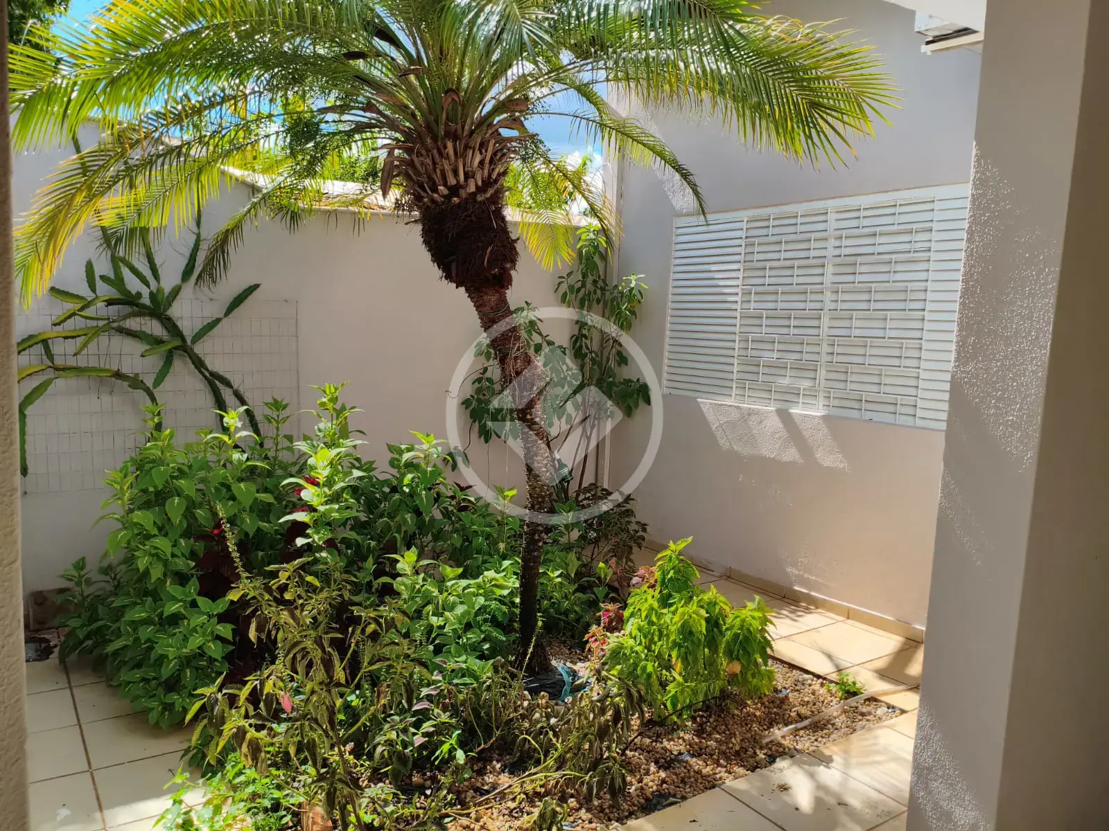 Casa Centro, Araçatuba - SP — foto 2