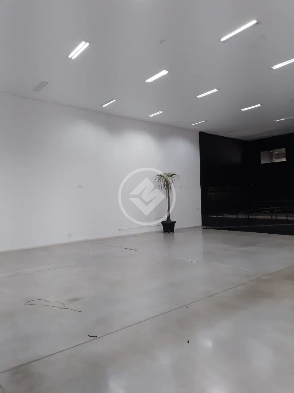 Sala Comercial no Vila Mendonça, Araçatuba — foto 3 de 6