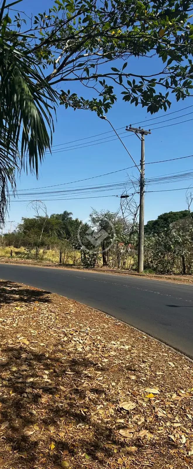 VENDA - CHÁCARA BELA VISTA