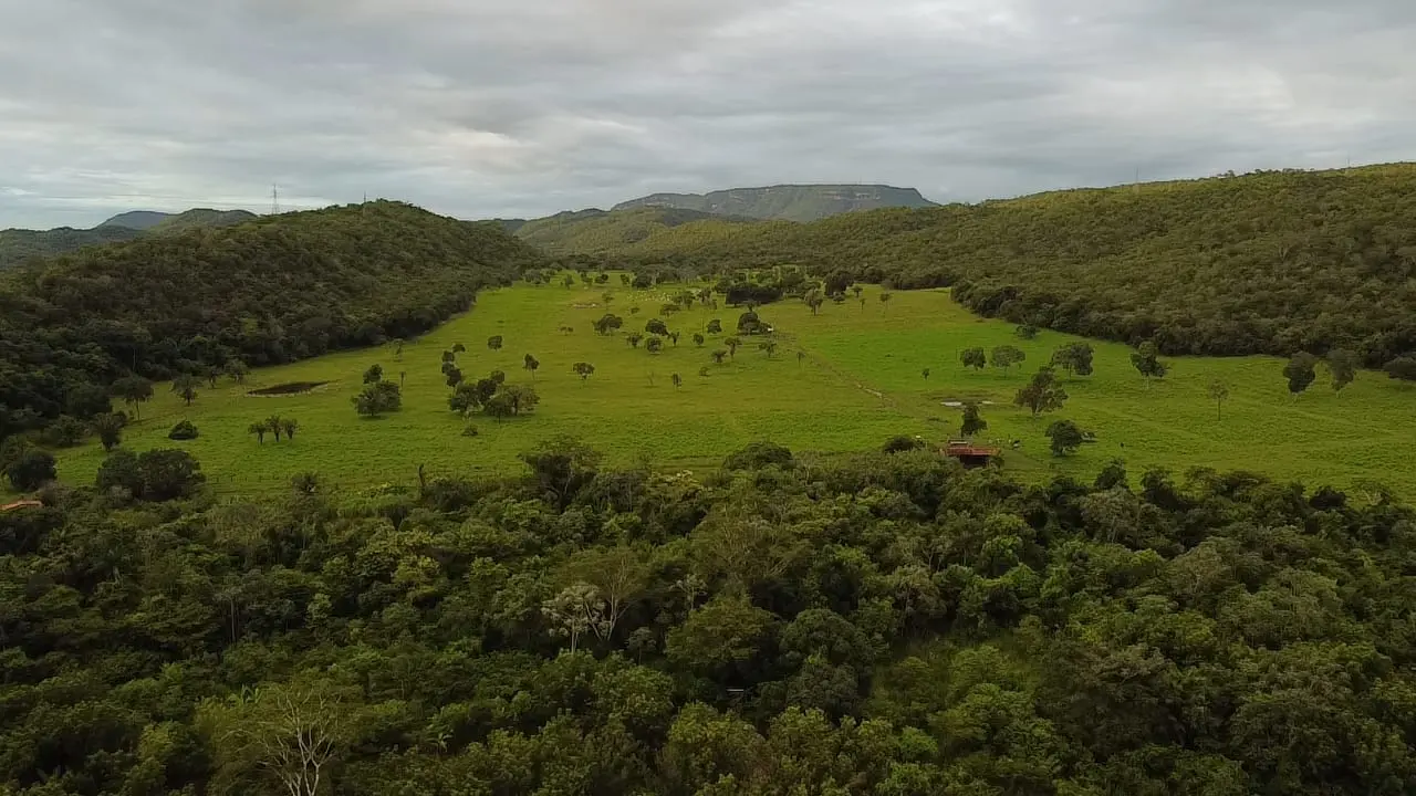 Fazenda Olhos D Agua, Cáceres - MT — foto 2