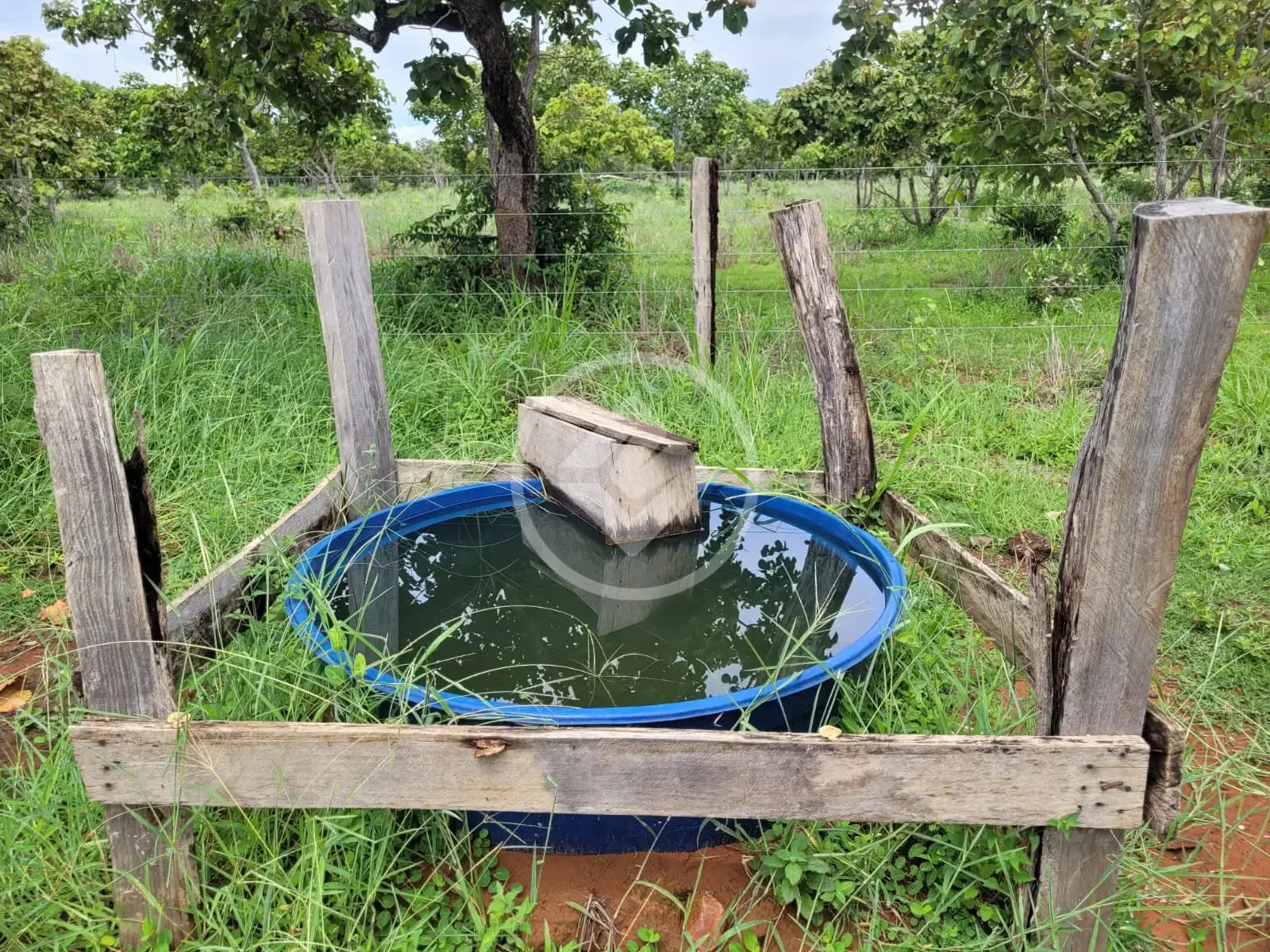 Sítio 3 quartos no Zona Rural, Alto Paraguai — foto 6 de 6