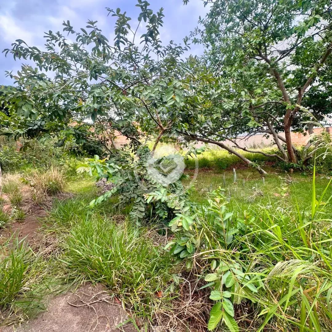 Terreno Centro, Araxá - MG — foto 2