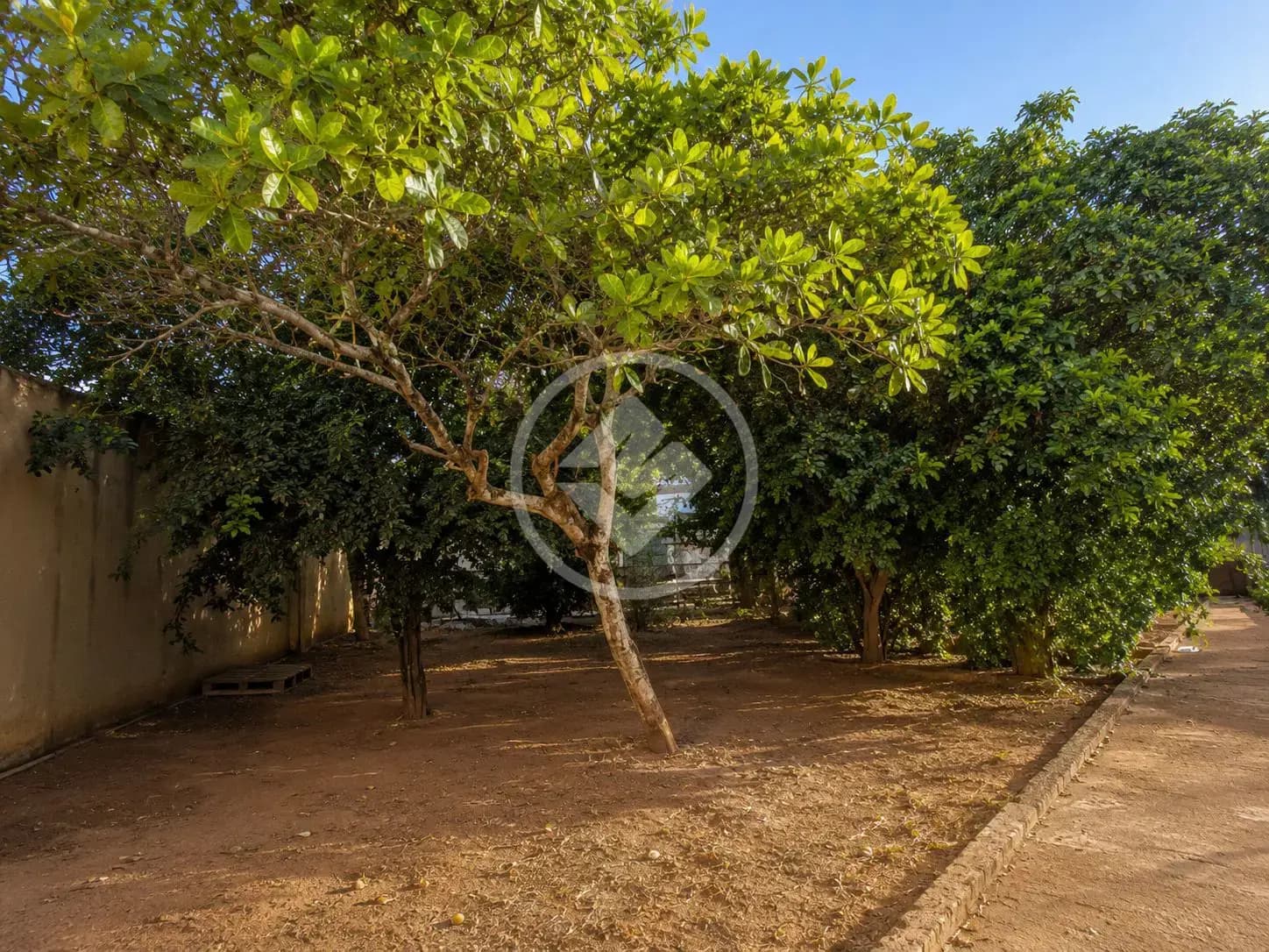 Casa 3 quartos no Vila São Pedro, Araxá — foto 3 de 6
