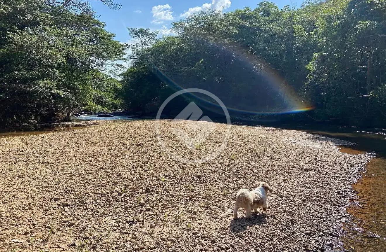 Chácara 5 quartos no BR 262, Campos Altos — foto 3 de 6