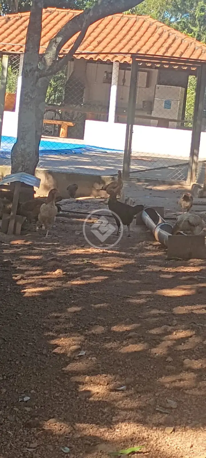 Chácara Municipio Perdizes, Perdizes - MG — foto 1
