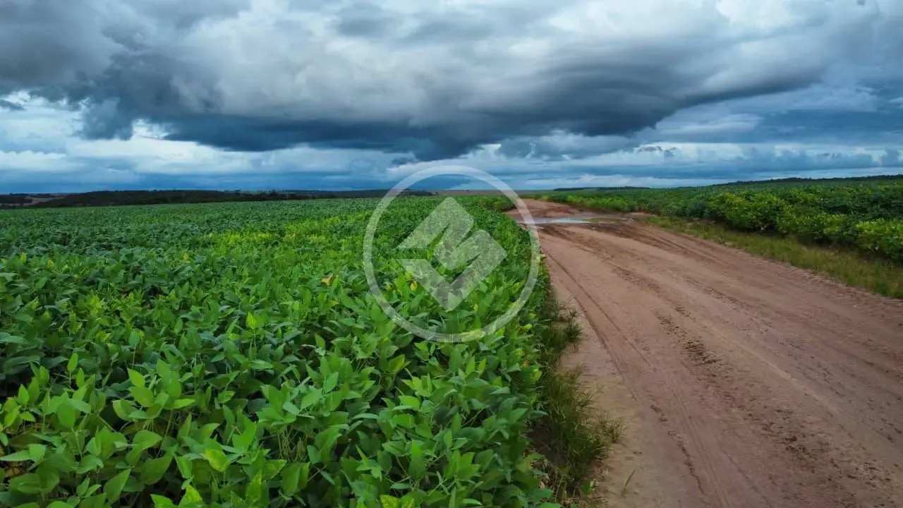 Fazenda , Nova Xavantina - MT — foto 2