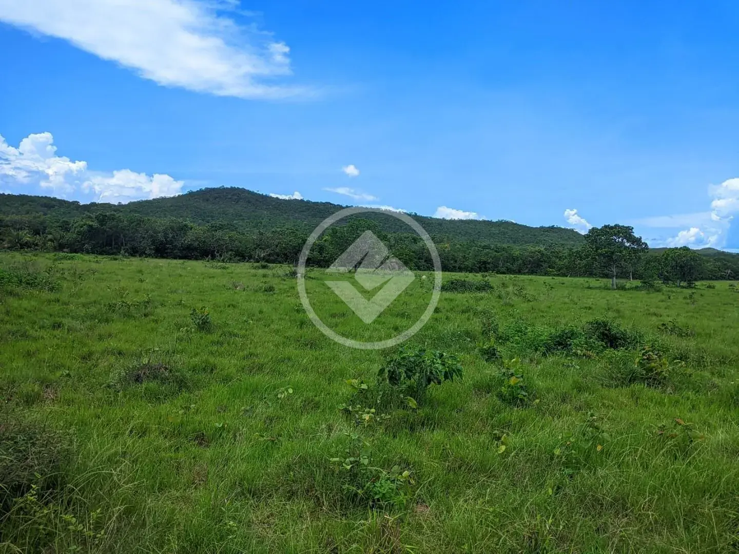 Fazenda , Nova Xavantina - MT — foto 2