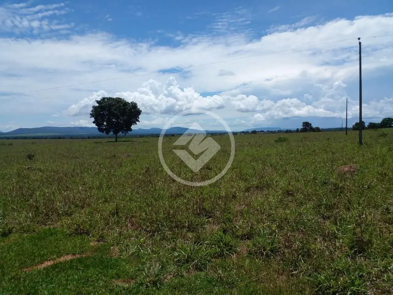 Fazenda Centro, Araguaiana - MT — foto 1