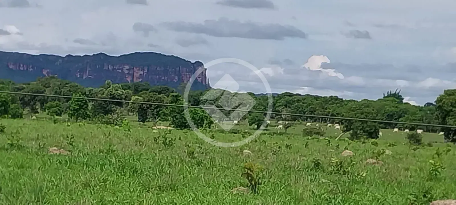 Fazenda Sena Marques, Barra do Garças - MT — foto 2