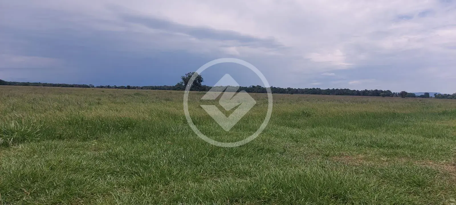 Fazenda Sena Marques, Barra do Garças - MT — foto 1