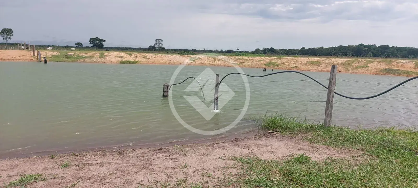 Fazenda Sena Marques, Barra do Garças - MT — foto 2