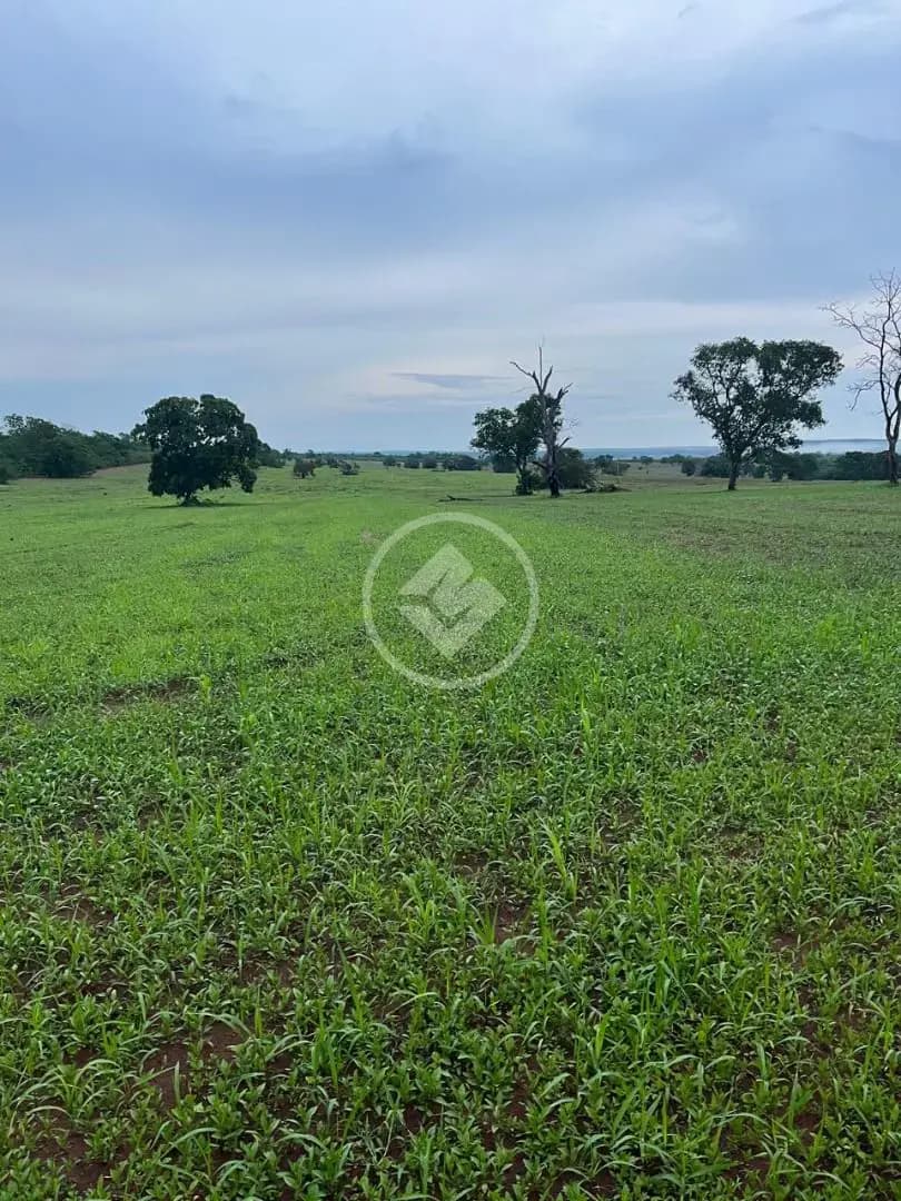Fazenda Sena Marques, Barra do Garças - MT — foto 2