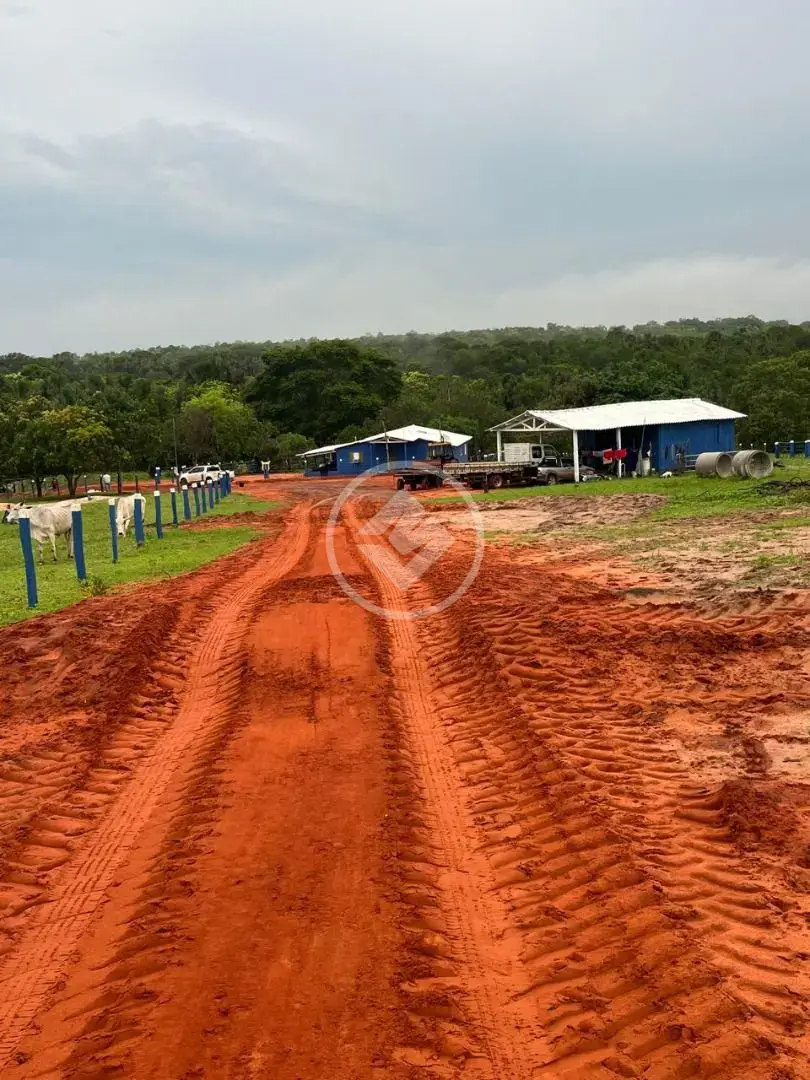 Fazenda à venda em Barra do Garças/MT