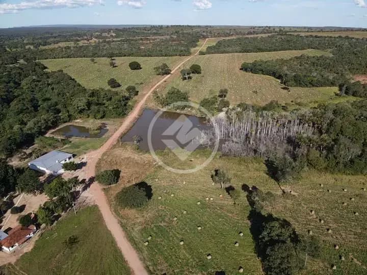 Fazenda Sena Marques, Barra do Garças - MT — foto 2