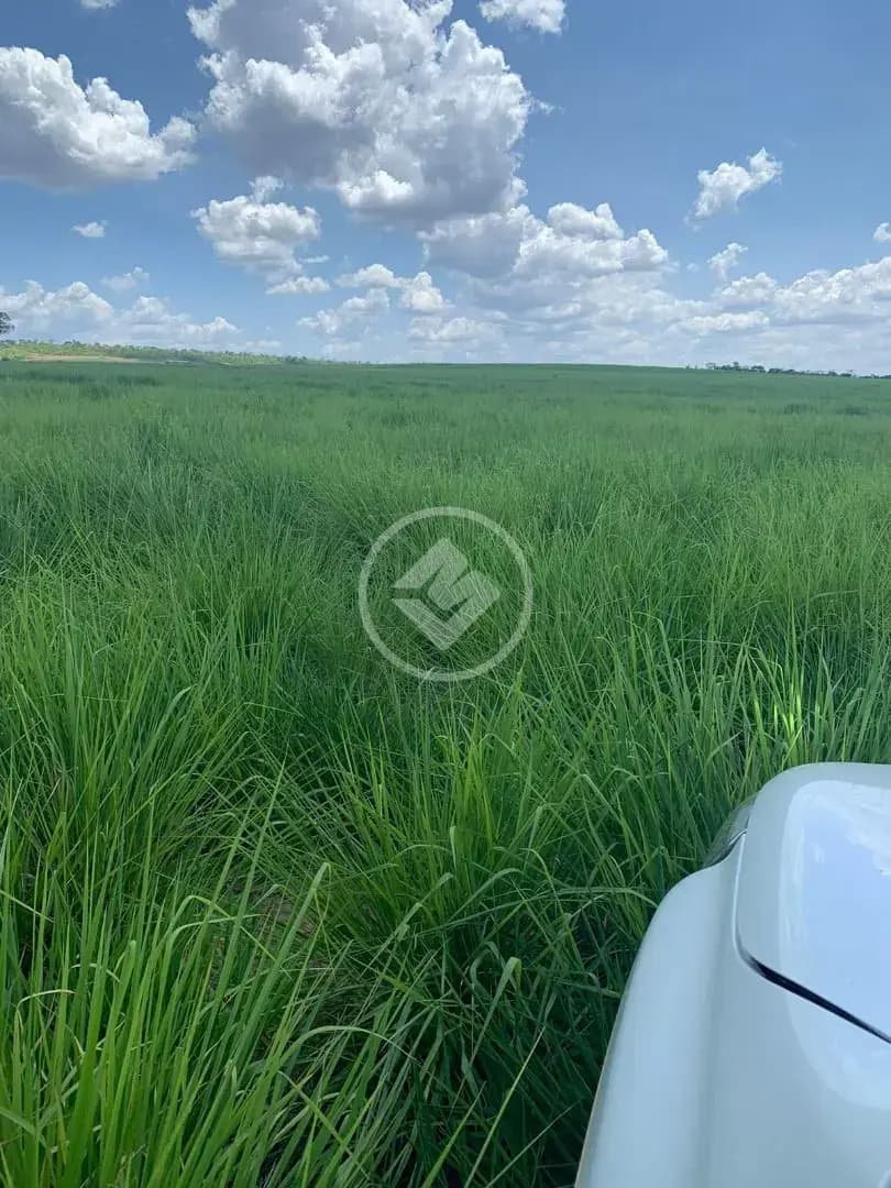 Fazenda no Sena Marques, Barra do Garças — foto 4 de 6