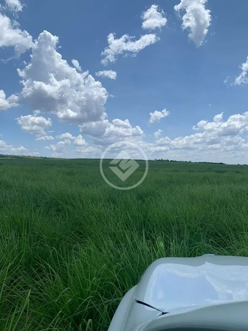 Fazenda no Sena Marques, Barra do Garças — foto 6 de 6