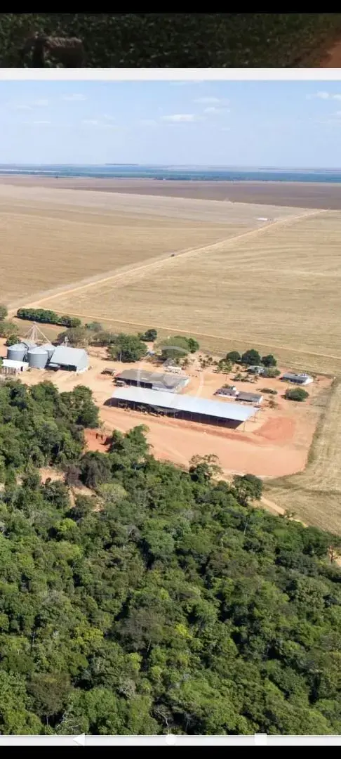 Fazenda Centro, Nova Maringá - MT — foto 1