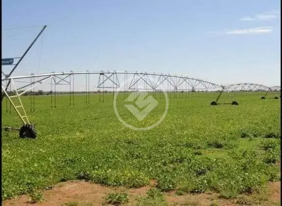 Fazenda no Setor Central, Jussara — foto 2 de 6