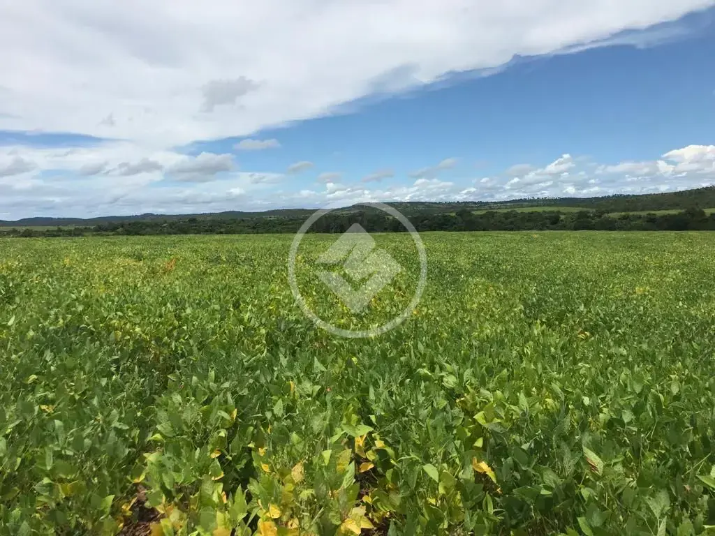 Fazenda Água Boa, Água Boa - MT — foto 1