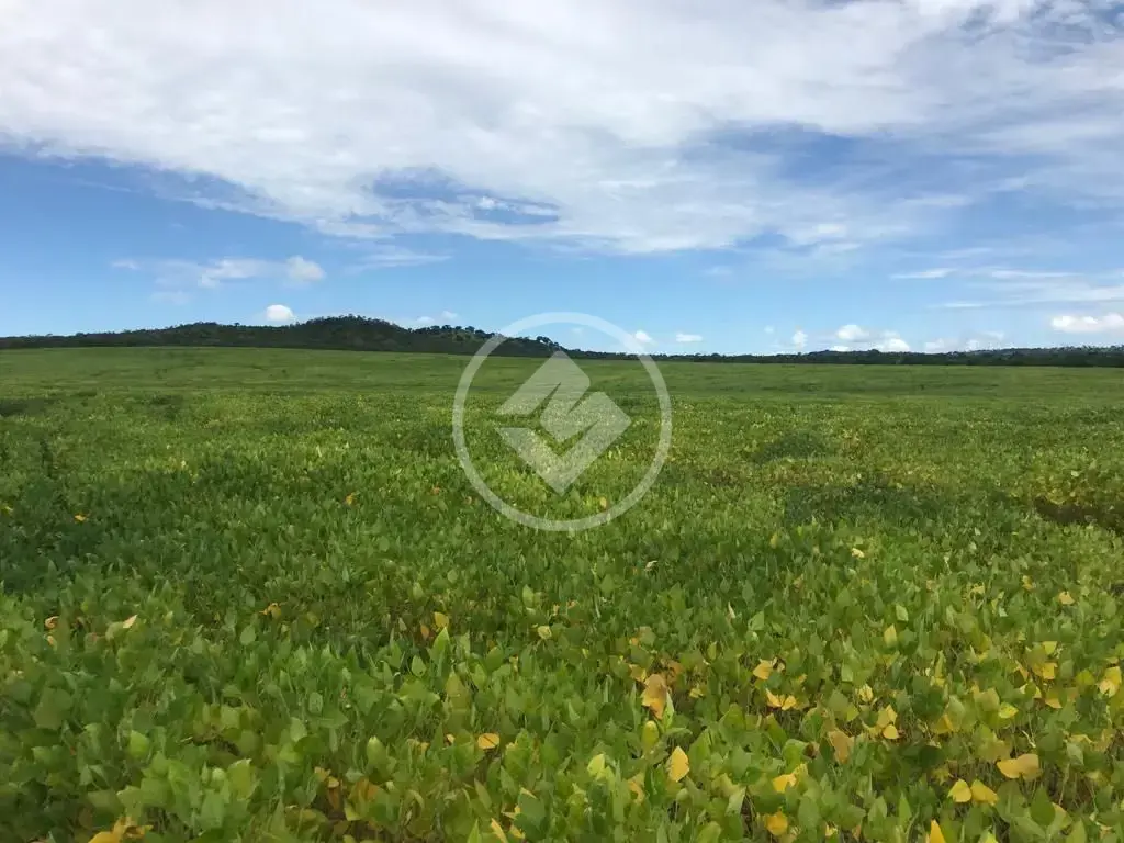 Fazenda Água Boa, Água Boa - MT — foto 2