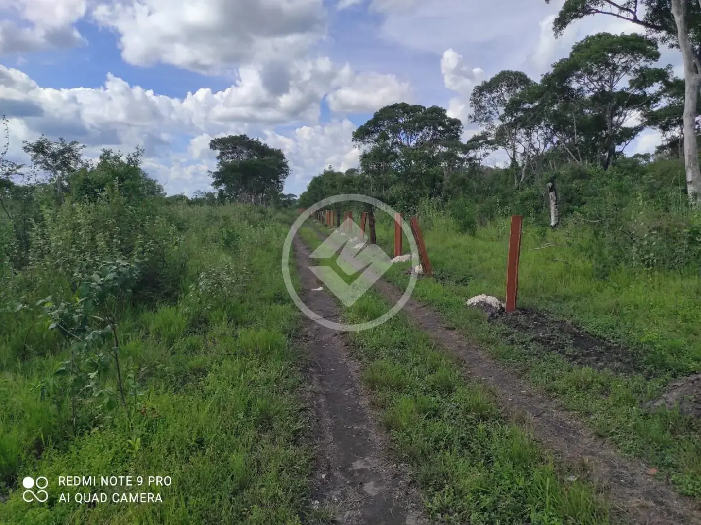 Fazenda , Luciara - MT — foto 2