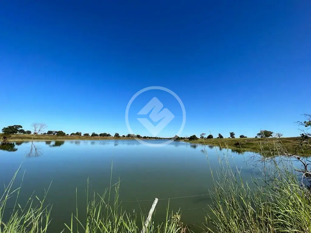 Fazenda , Araguaiana - MT — foto 1