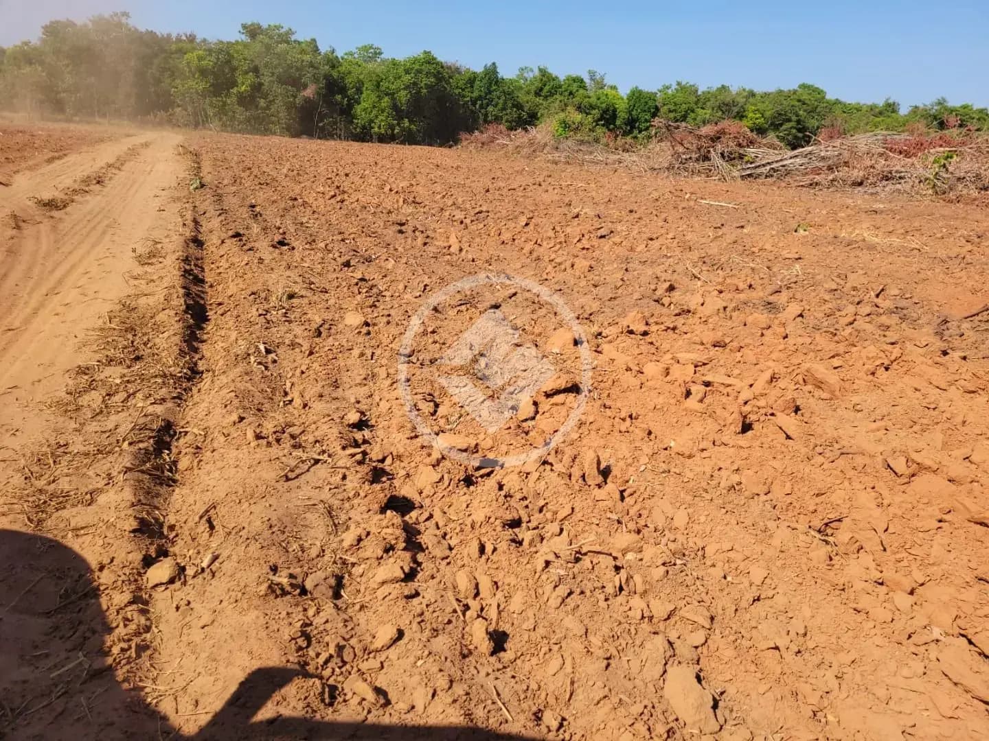 Fazenda , São José do Xingu - MT — foto 2