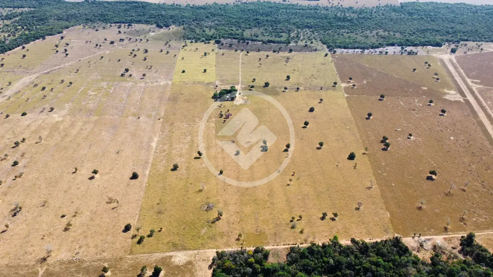 Fazenda Sena Marques, Barra do Garças - MT — foto 1