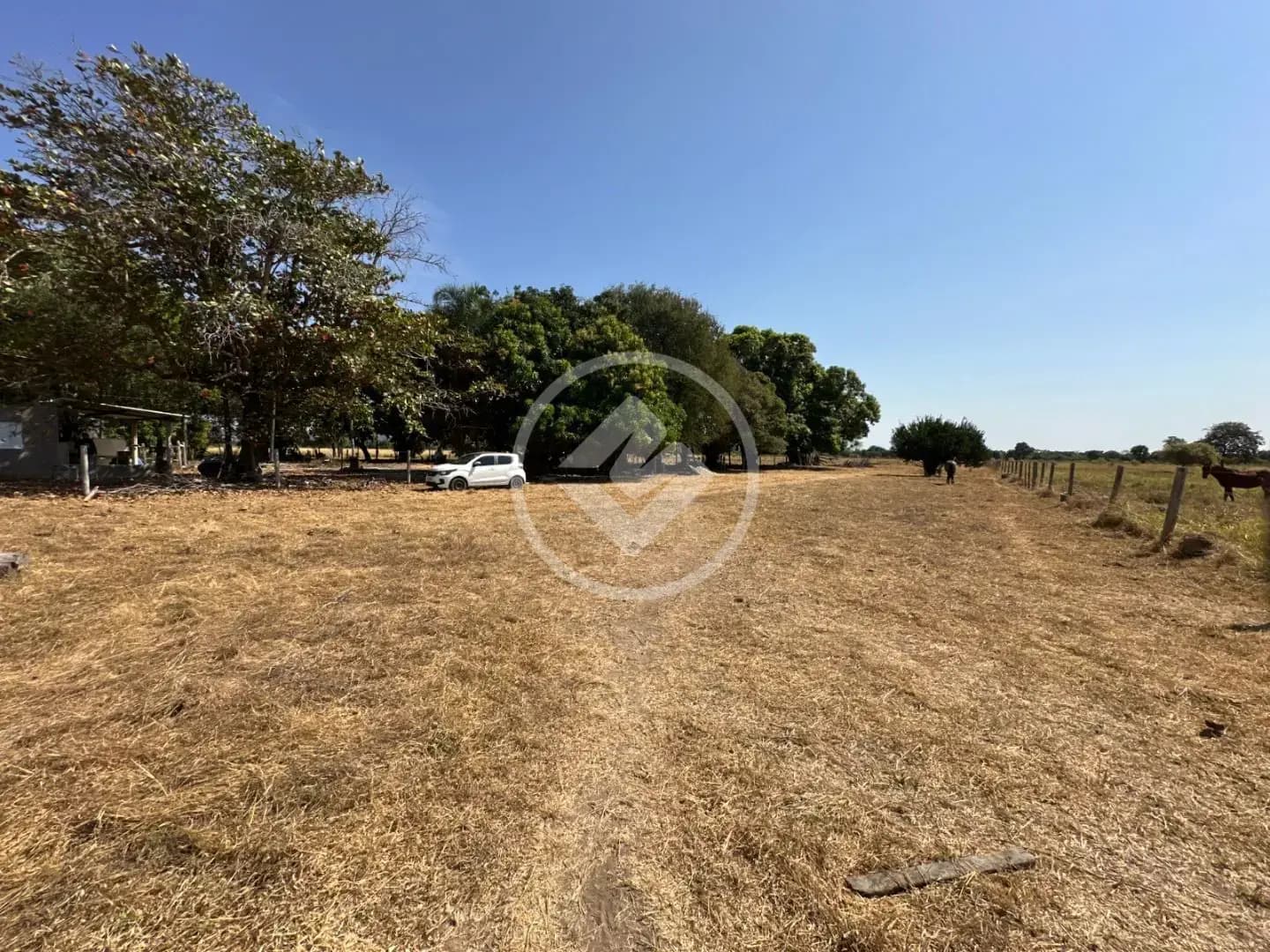 Fazenda Sena Marques, Barra do Garças - MT — foto 2