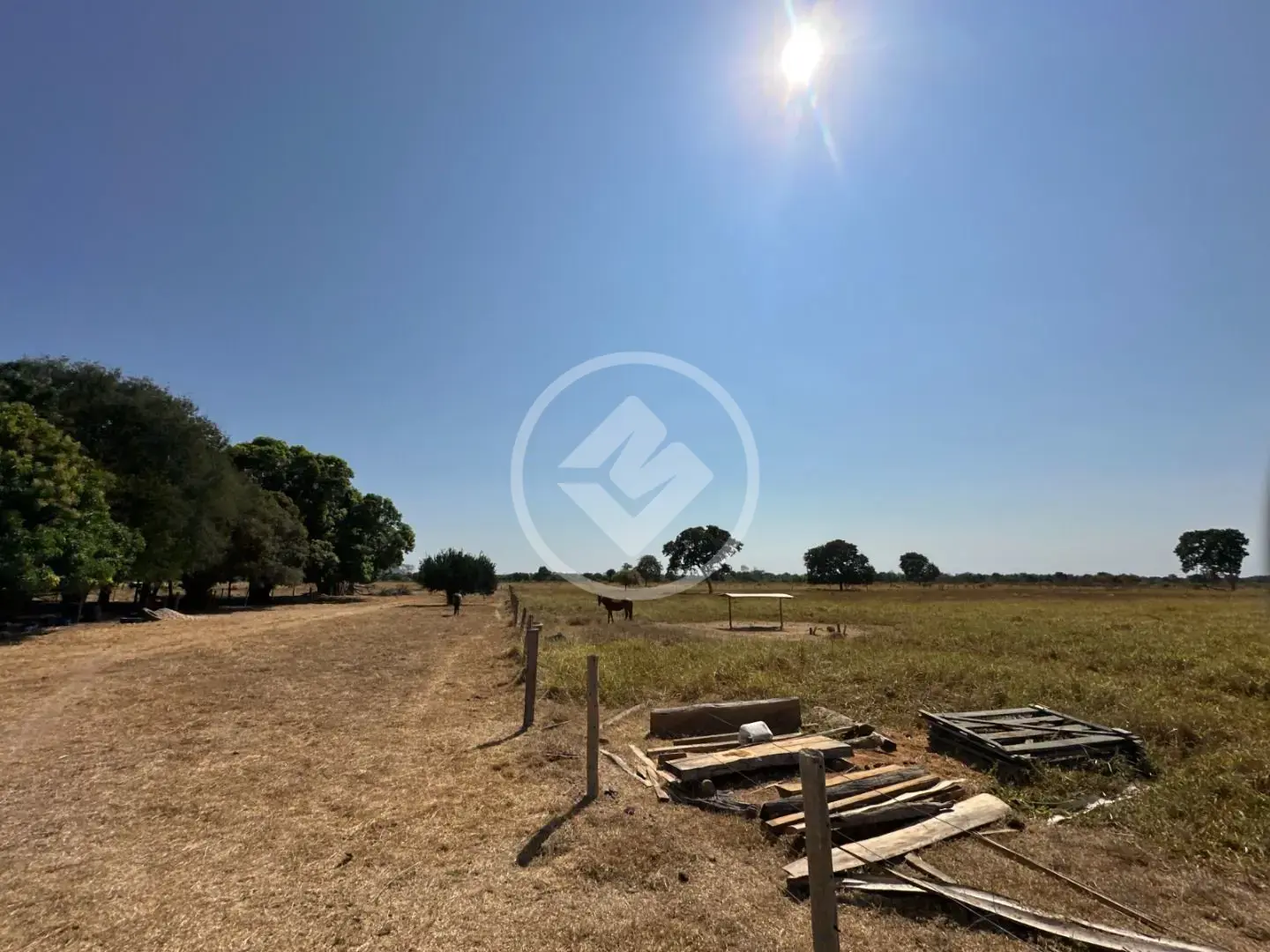Fazenda no Sena Marques, Barra do Garças — foto 4 de 6