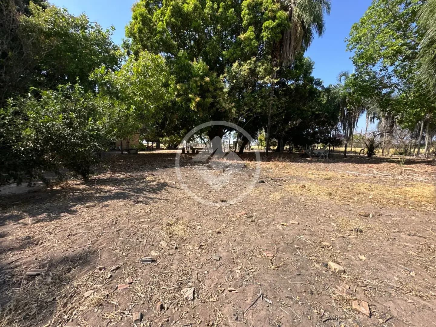 Fazenda no Sena Marques, Barra do Garças — foto 6 de 6